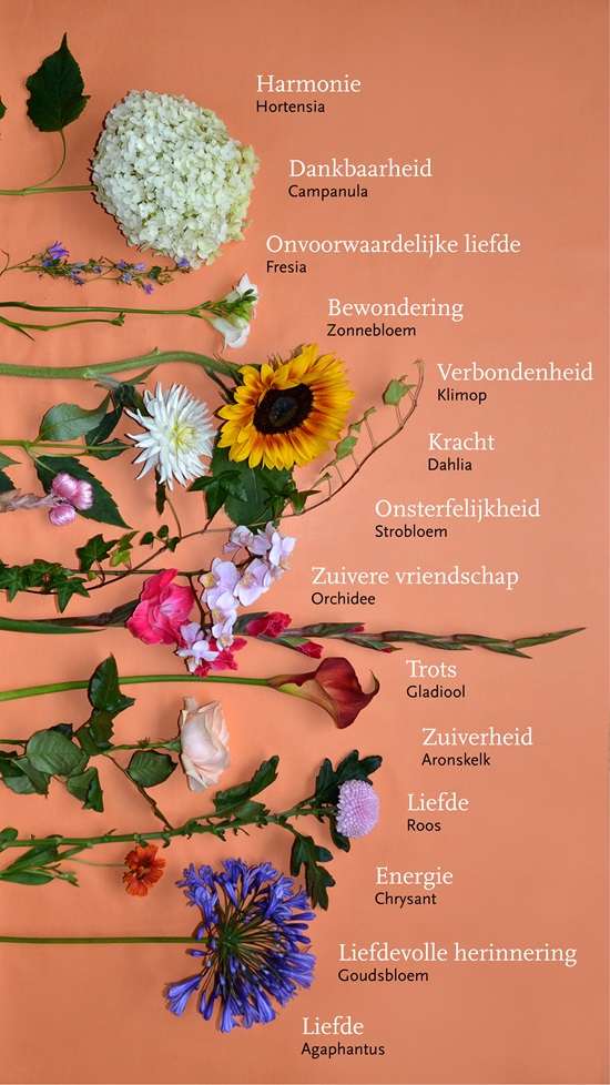 Uitgaand kiezen draaipunt Rouwbloemen, welke bloemen kies je en wat is de betekenis ervan? | DELA